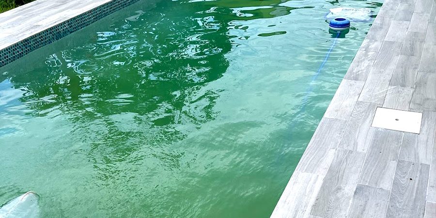 How to Treat Yellow Algae in Your Pool